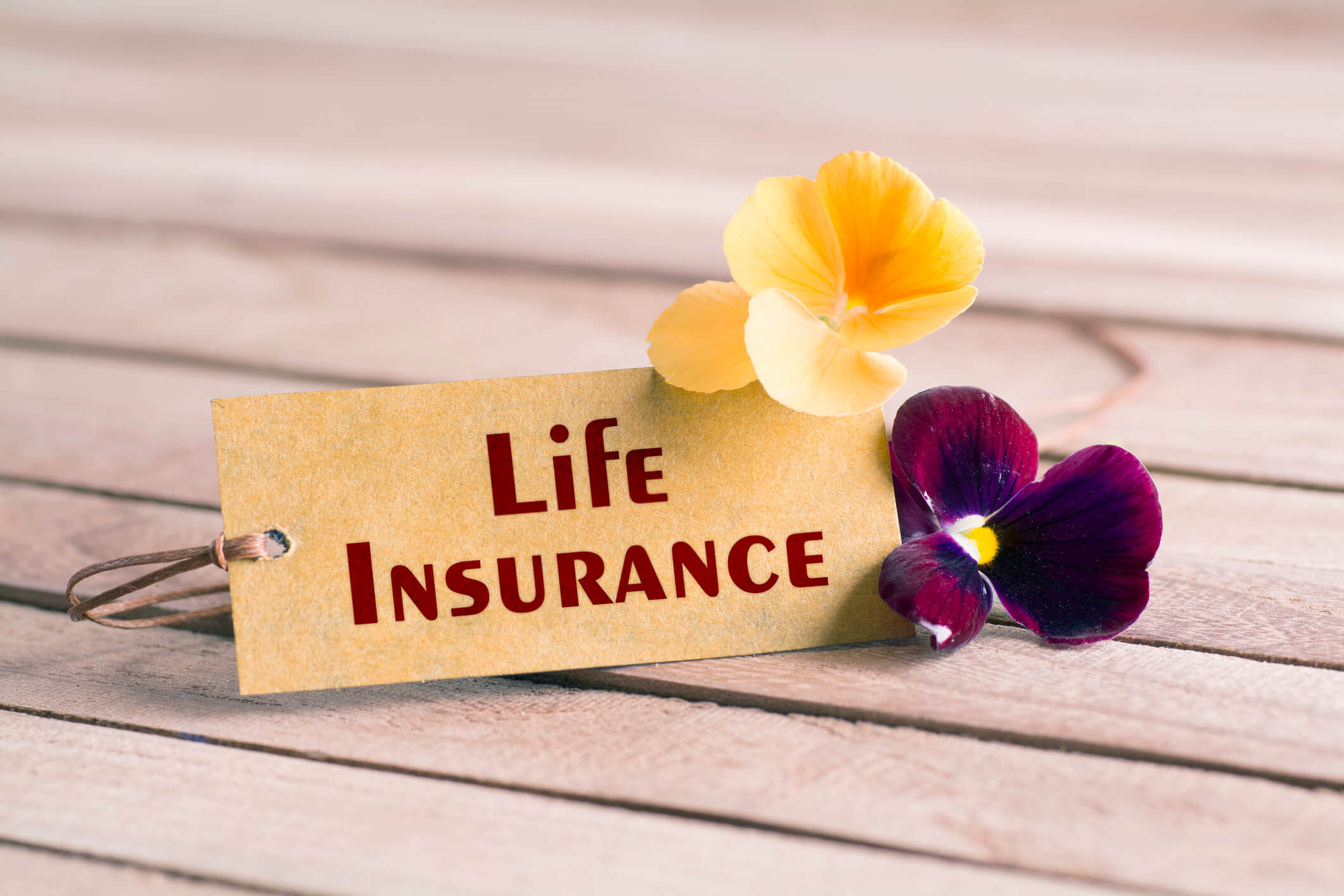 Life insurance tag with flower on a table